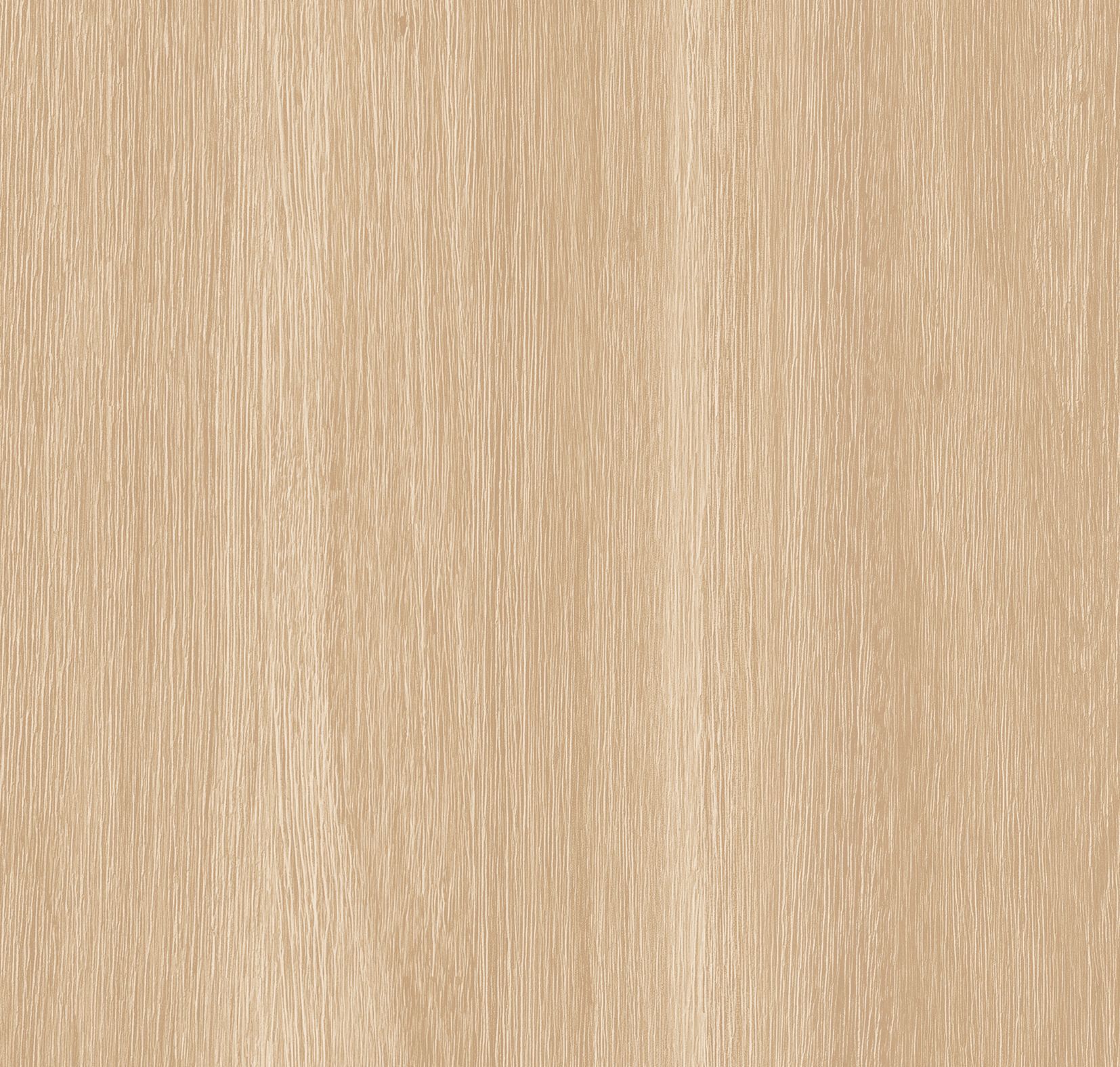 Acacia - Product image