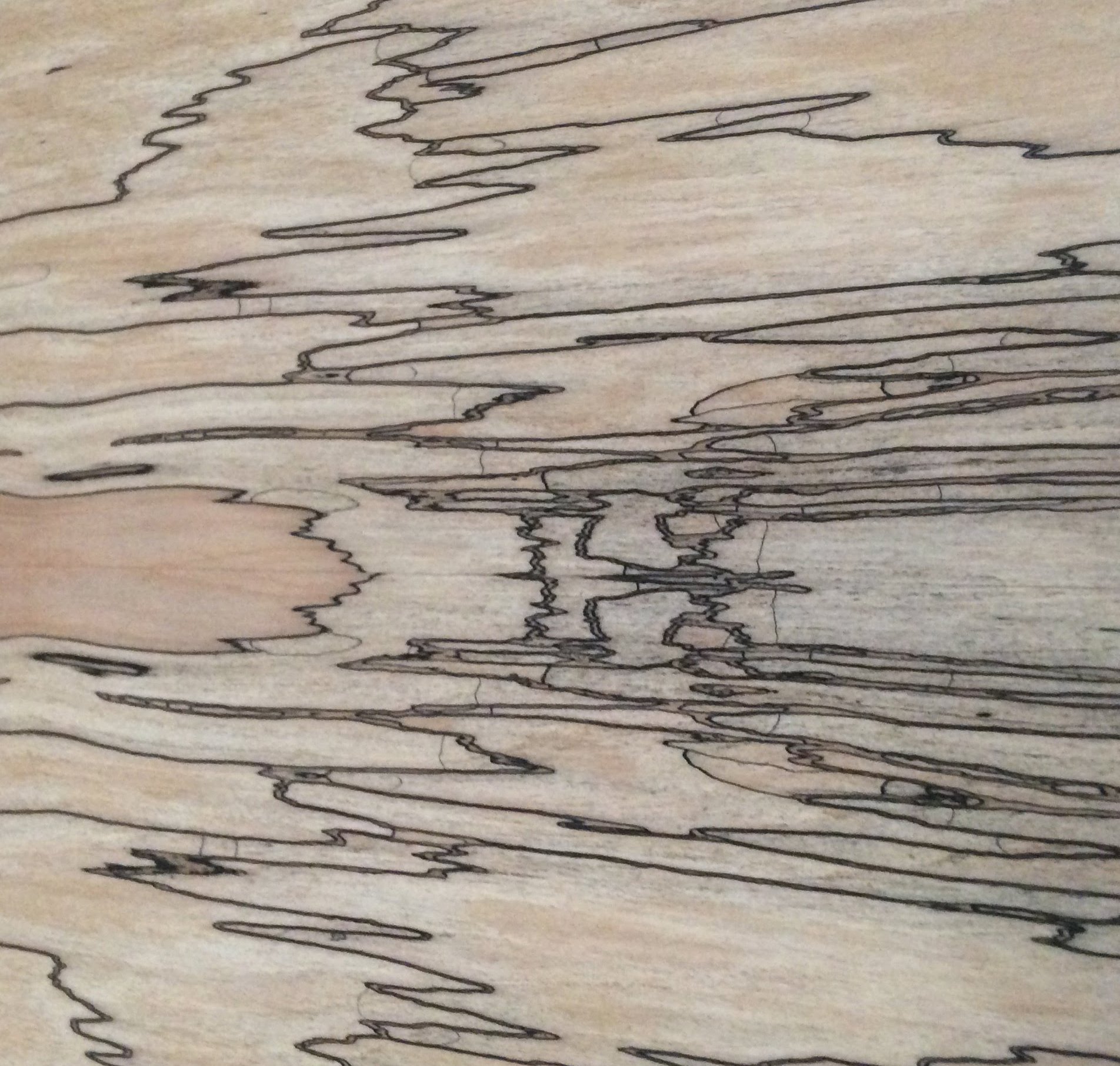 Spalted Maple Paper Backed Veneer - Product image