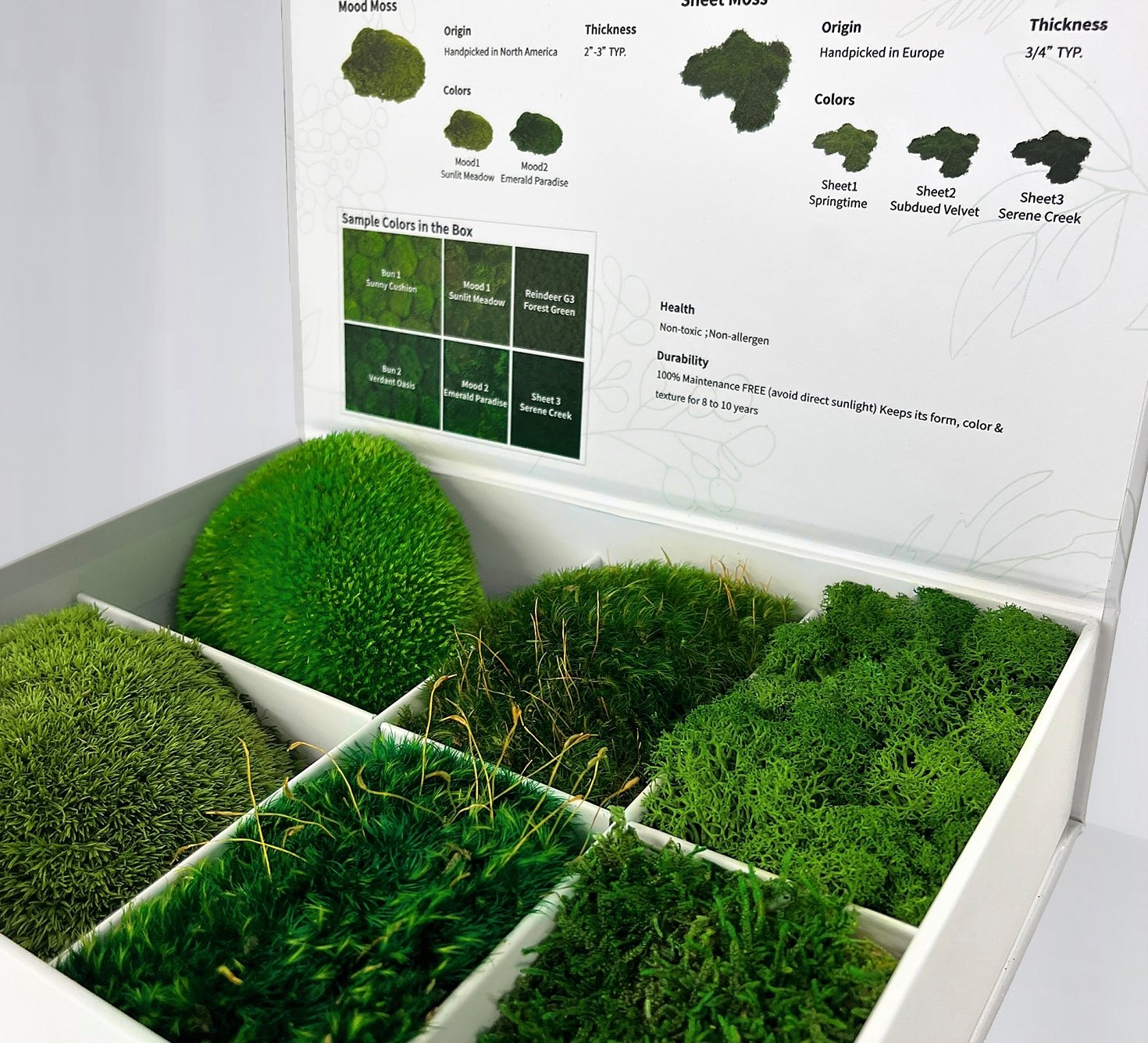 Sample - Preserved Mixed Moss Variety - Product image