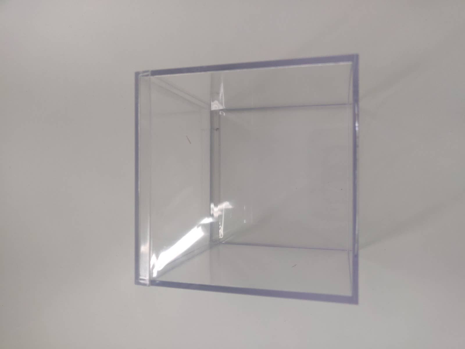 Sandow gallery 4