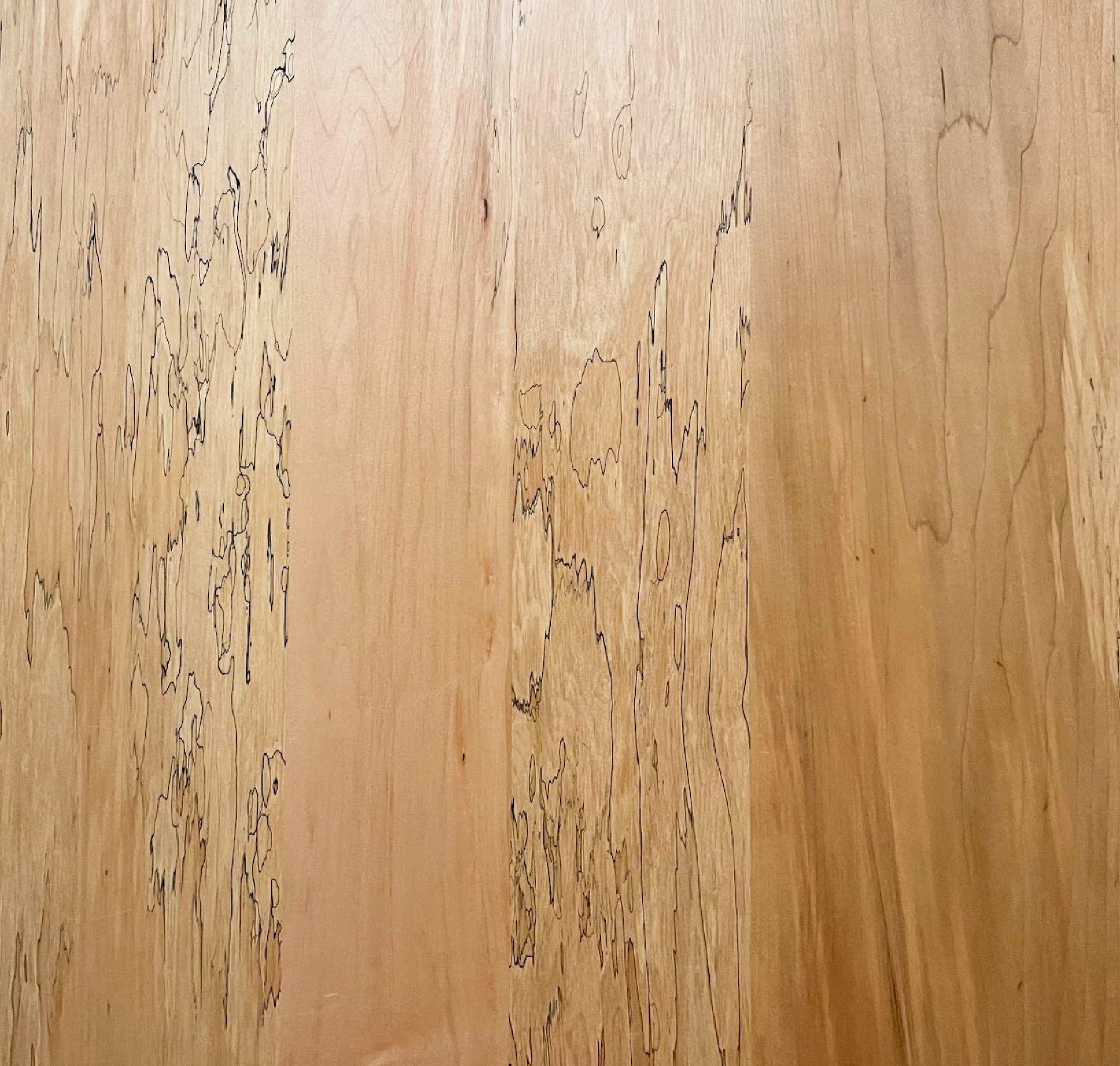Finished Spalted Maple Plywood - Product image