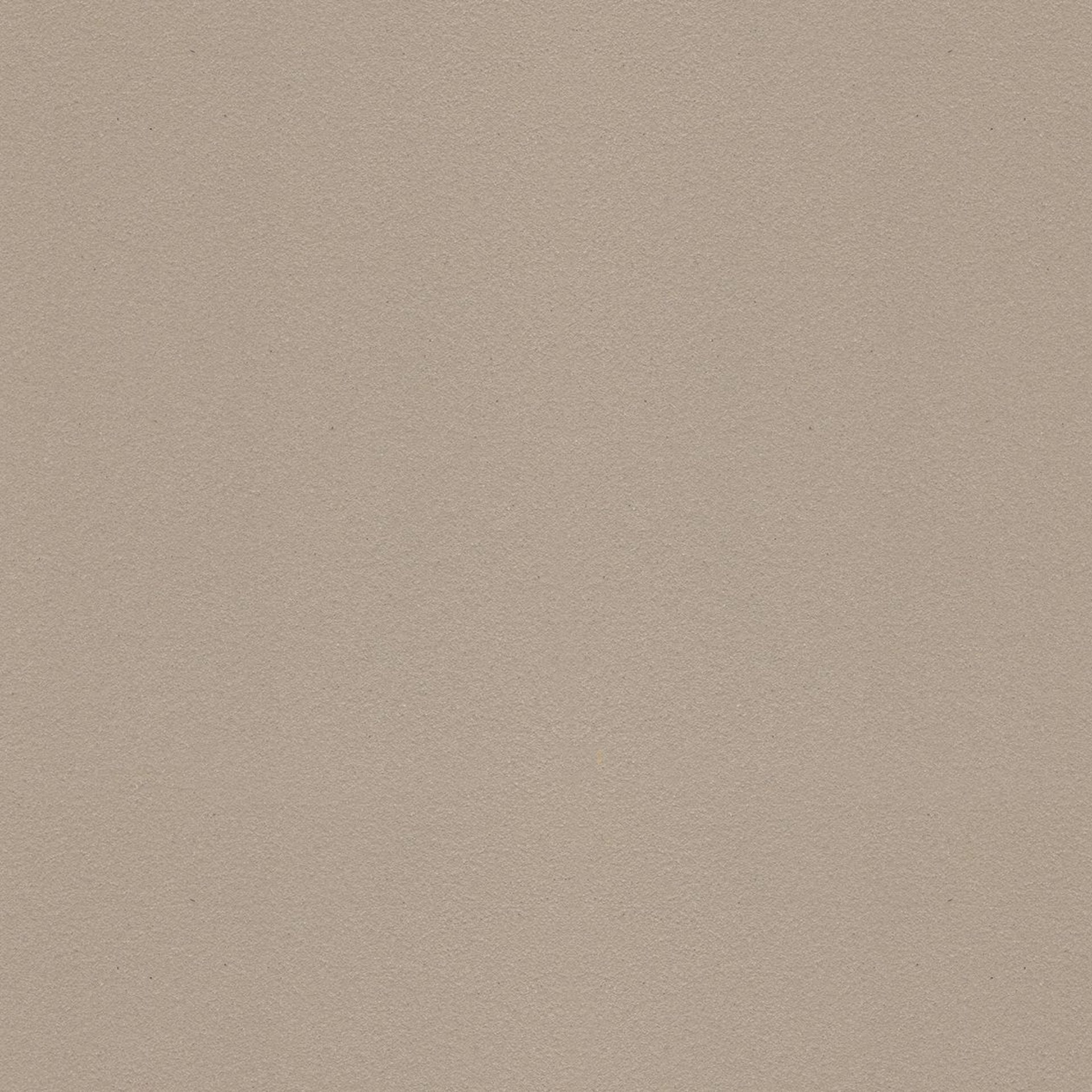 Lacquer
