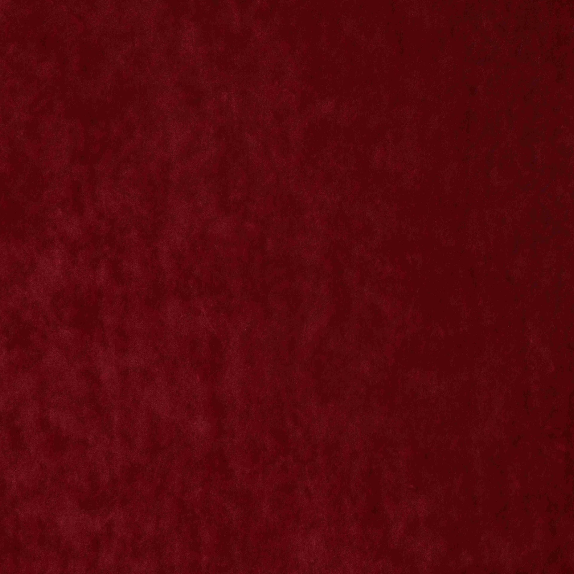 Roxana Plush CS