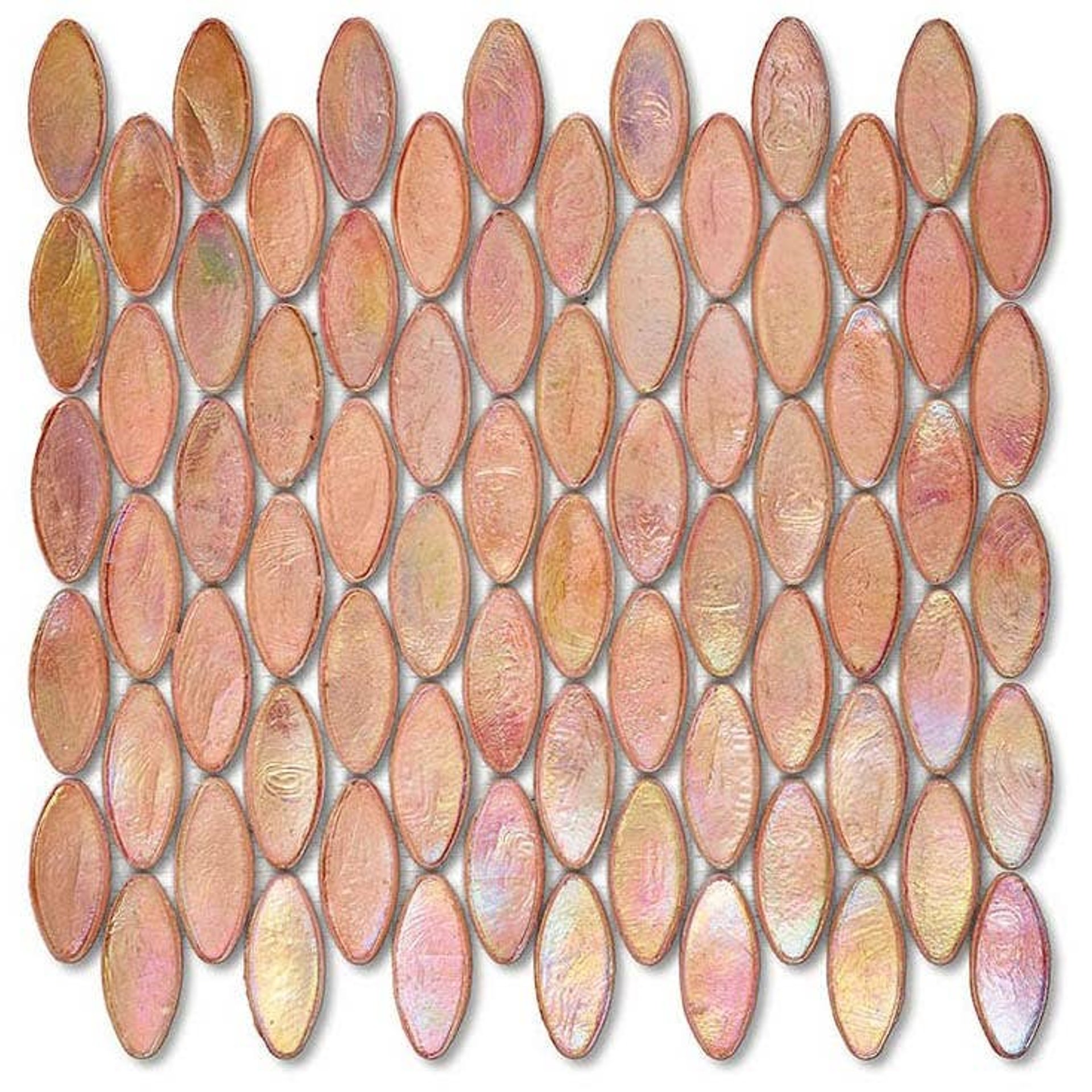 NeoColibri Domes