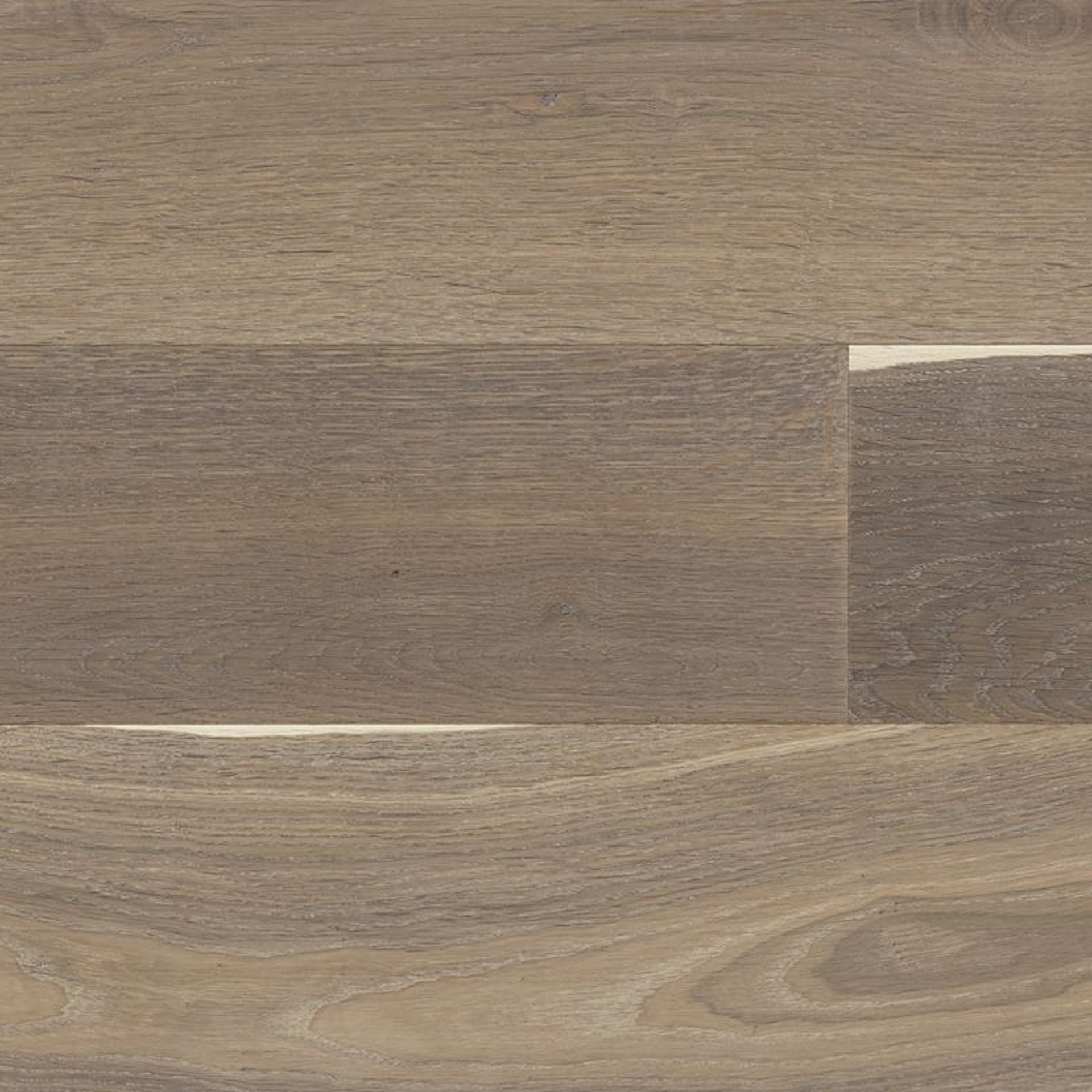 Relevance50 Character 180mm 1-Strip