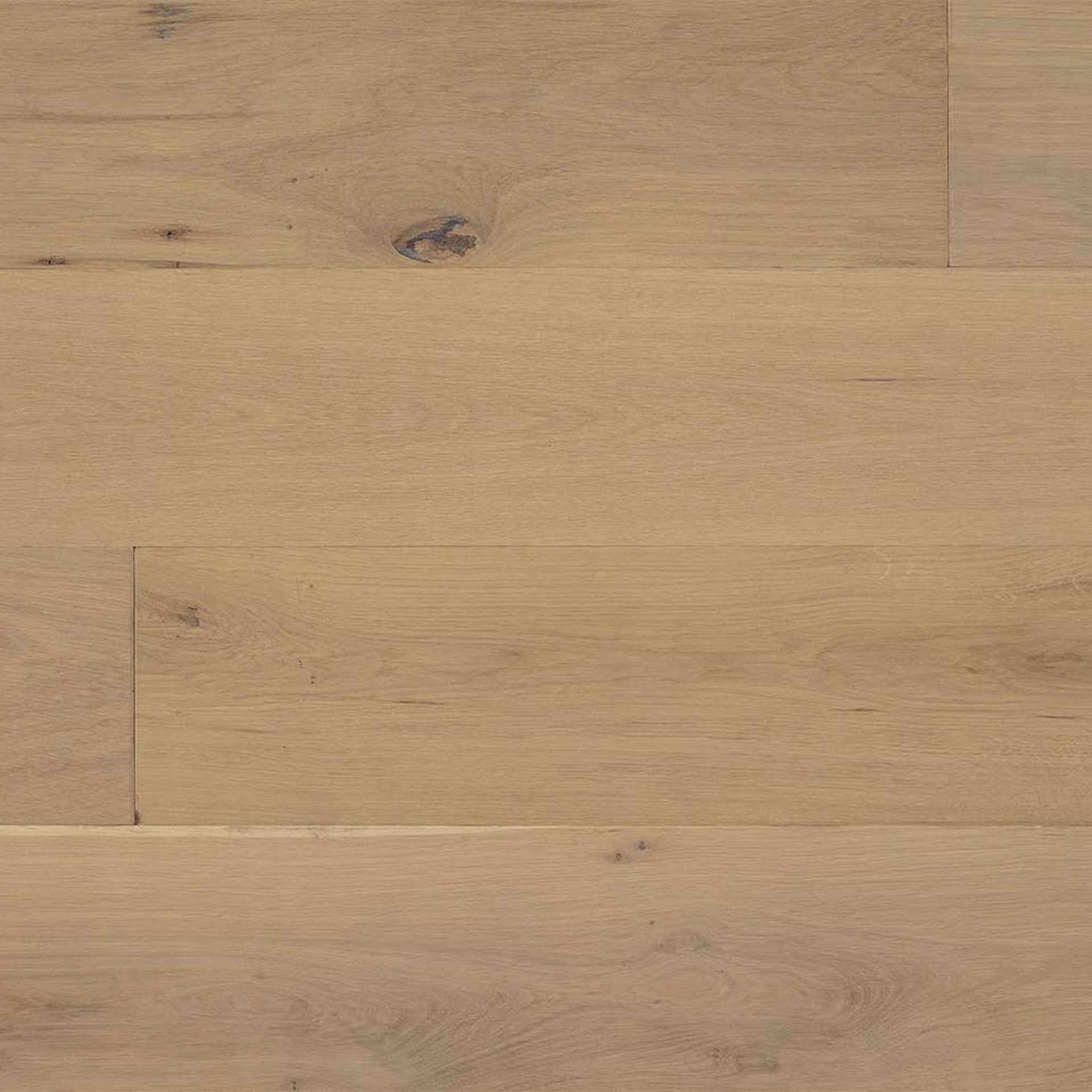 Windsor Laguna Oak