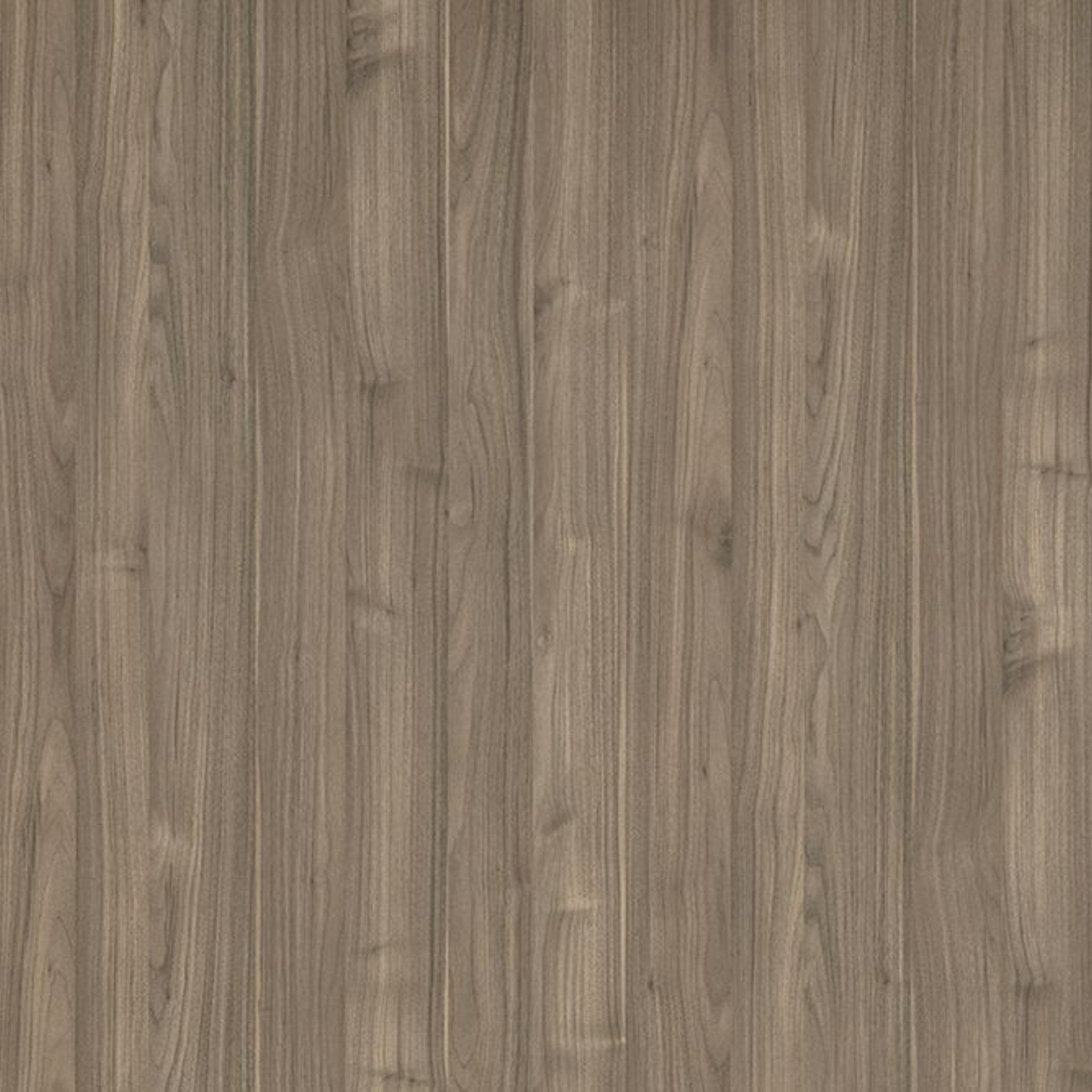 Cypress Silk VF