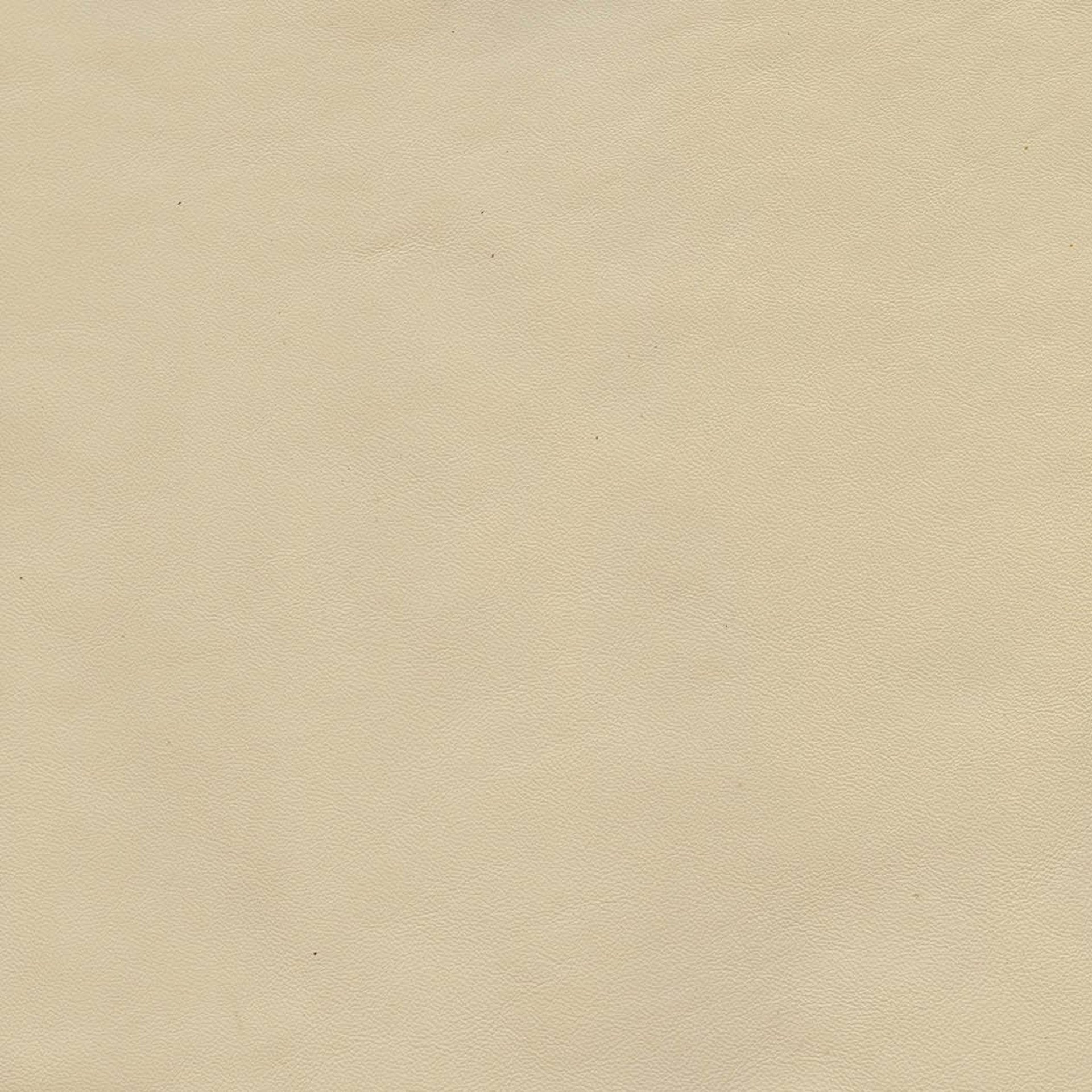 Classic In-Stock Cowhide (CL)