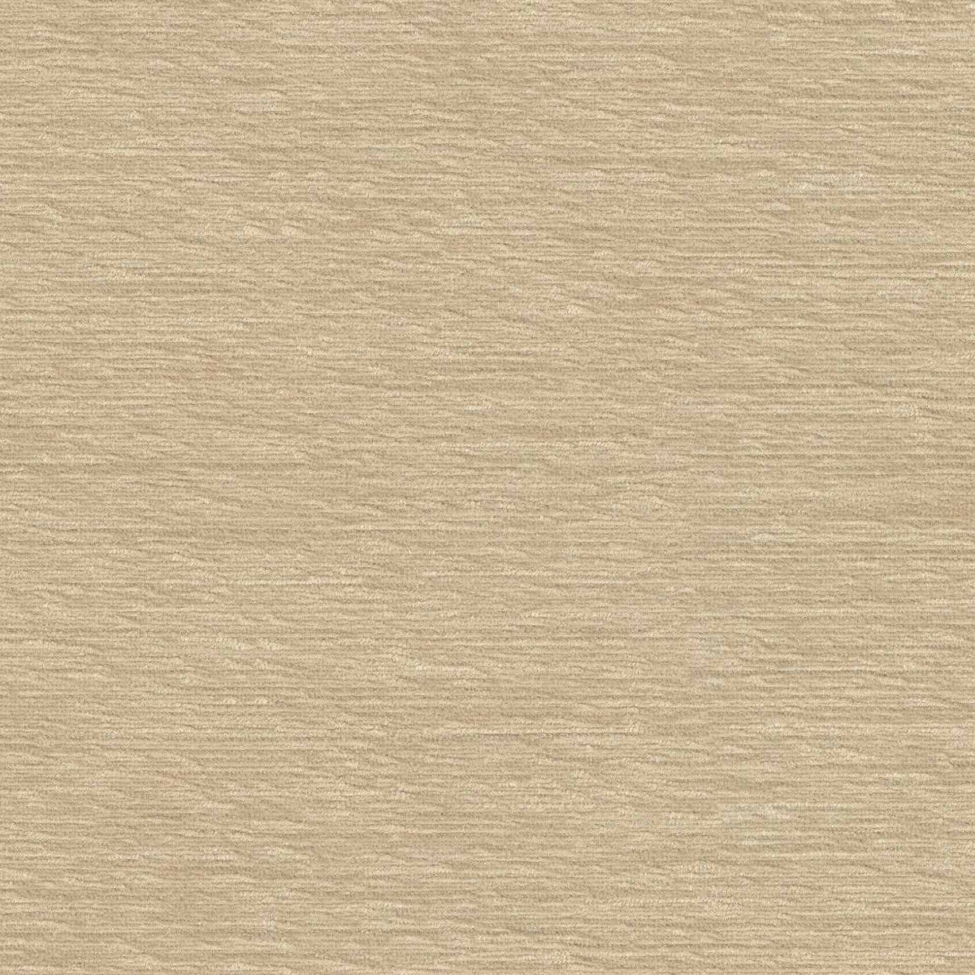Skipper