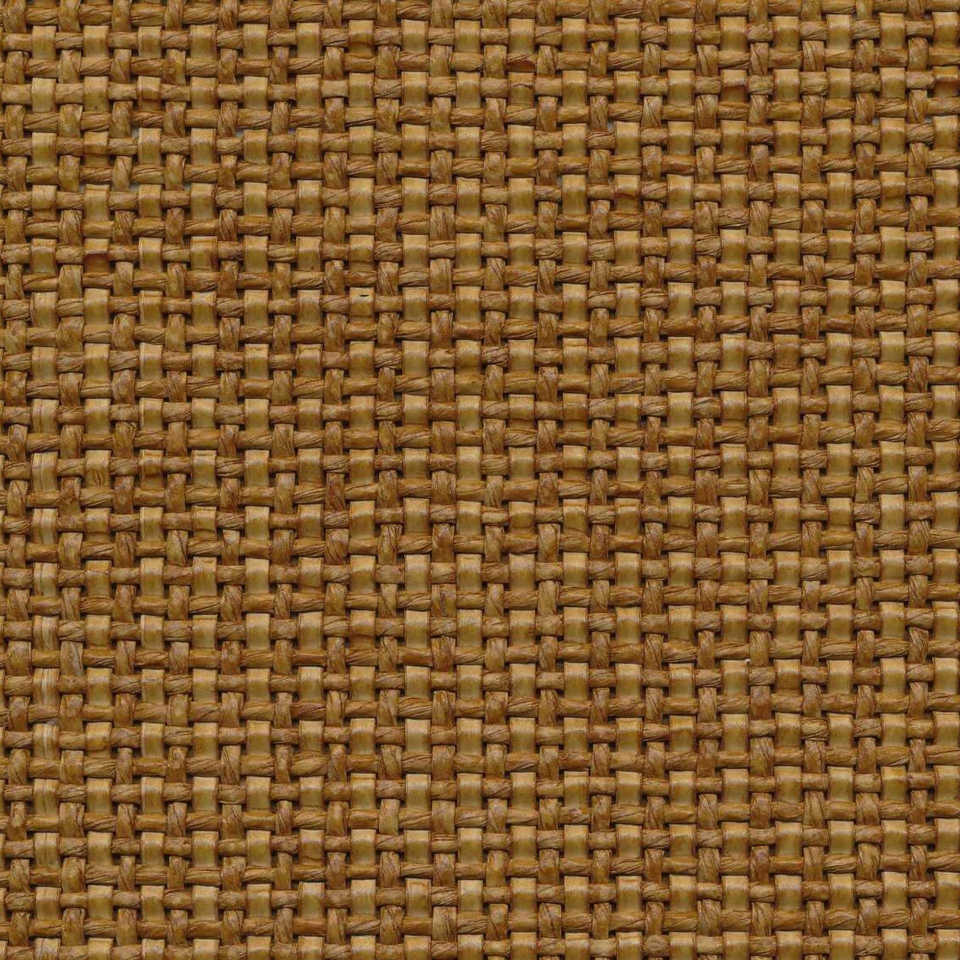 Cane Raffia